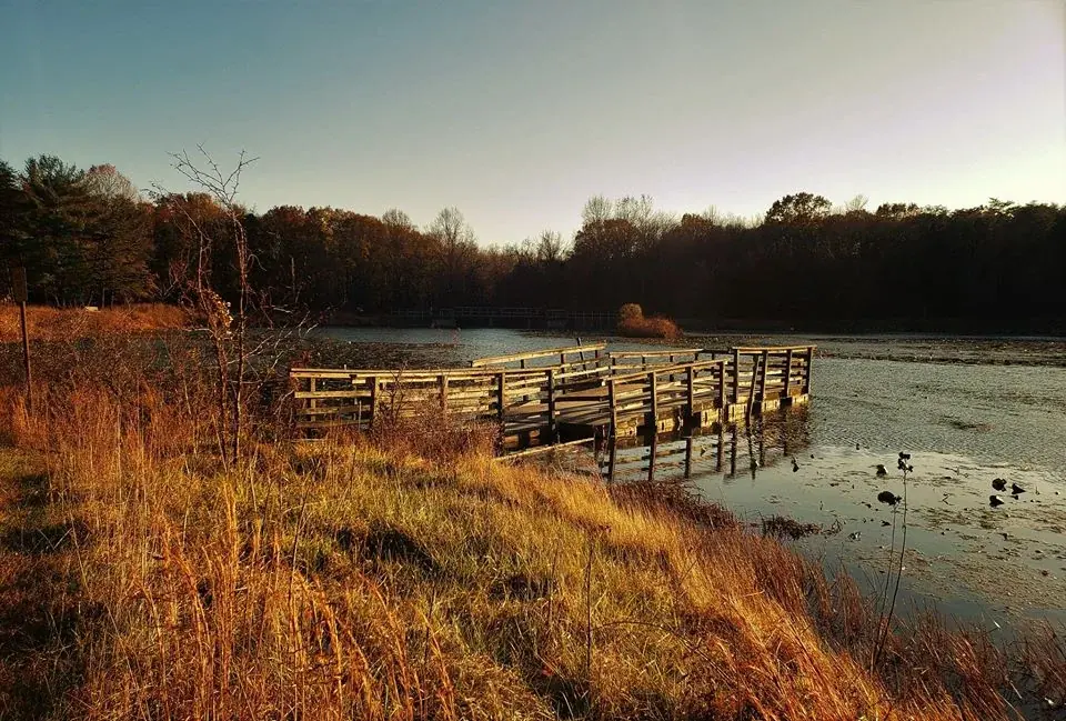 The waterside boardwalk at Lake Allen in the North Tract of Patuxent Research Refuge near Laurel, Maryland